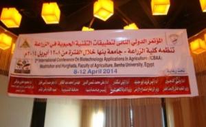 Memorized photos of ICBAA Conference