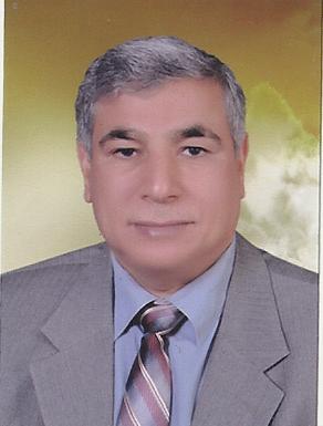 Prof. Ahmed Ali Abd El rahman